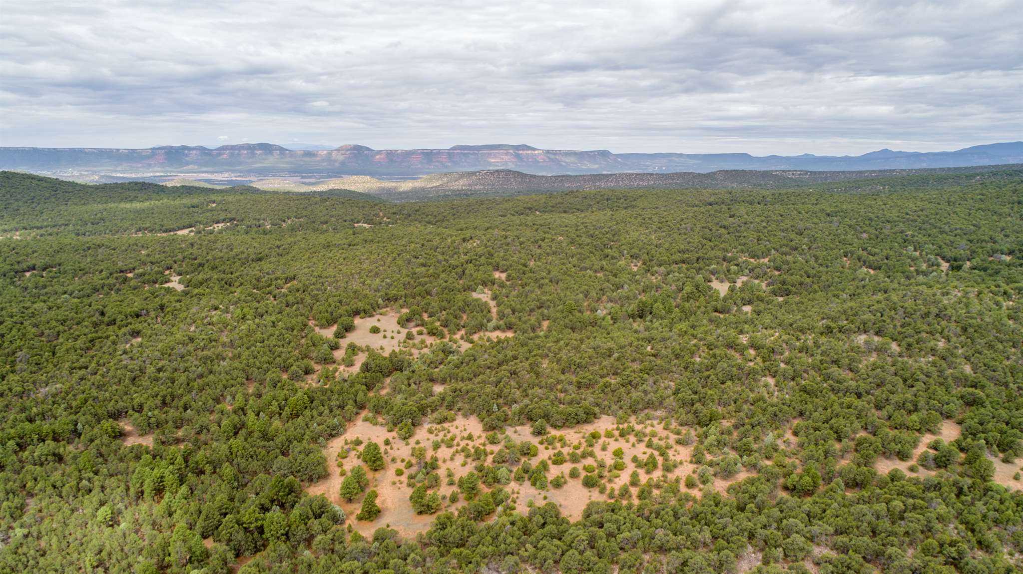 83 Pecos Barillas Road Pecos, NM 87552 - Photo 19 of 54 Gallery Image 19