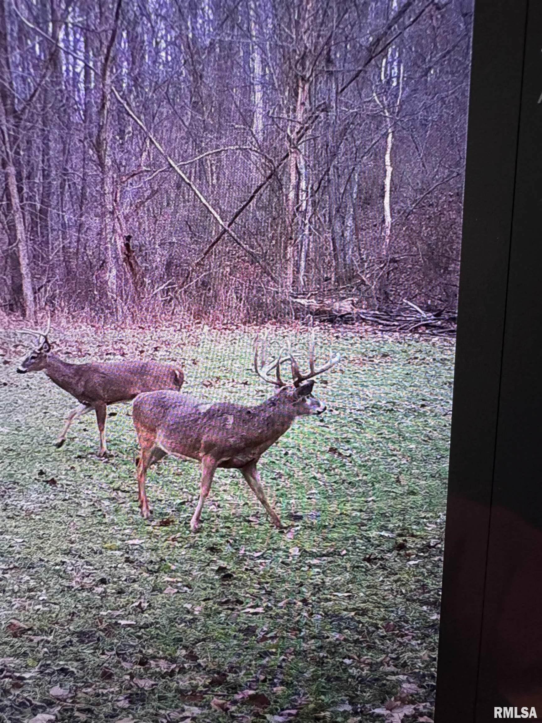 Rr Christian Neck Road Rushville, IL 62681 - Photo 10 of 11
