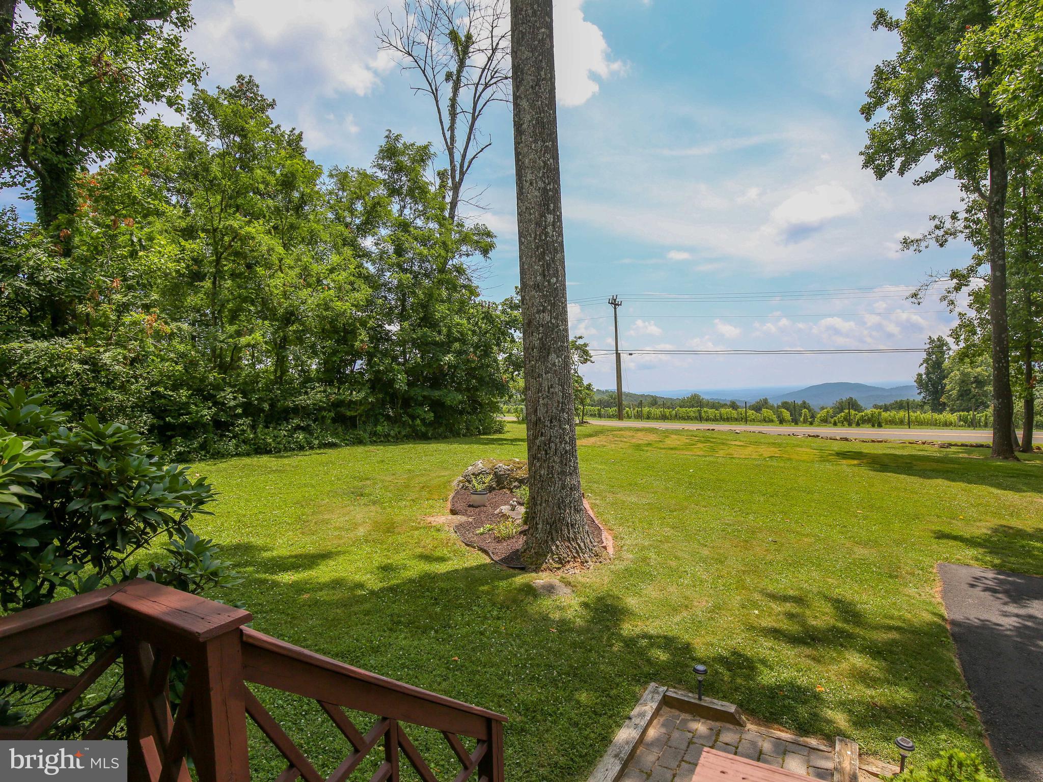 3151 Freezeland Road Linden, VA 22642 - Photo 8 of 45 Gallery Image 8
