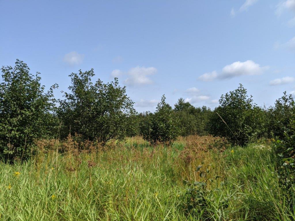 W10589 White Birch Road Kennan, WI 54537 - Photo 2 of 25 Gallery Image 2