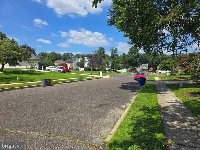 a view of road with river and trees