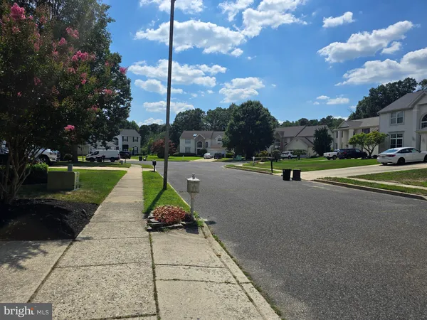 a park view with a bench
