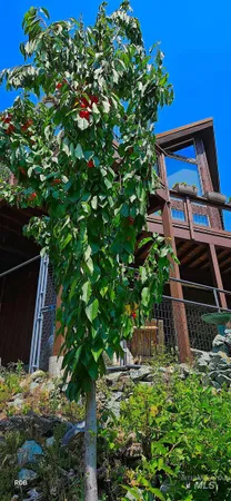$1,000,000 | 1352 South Main Street, Riggins, ID 83549