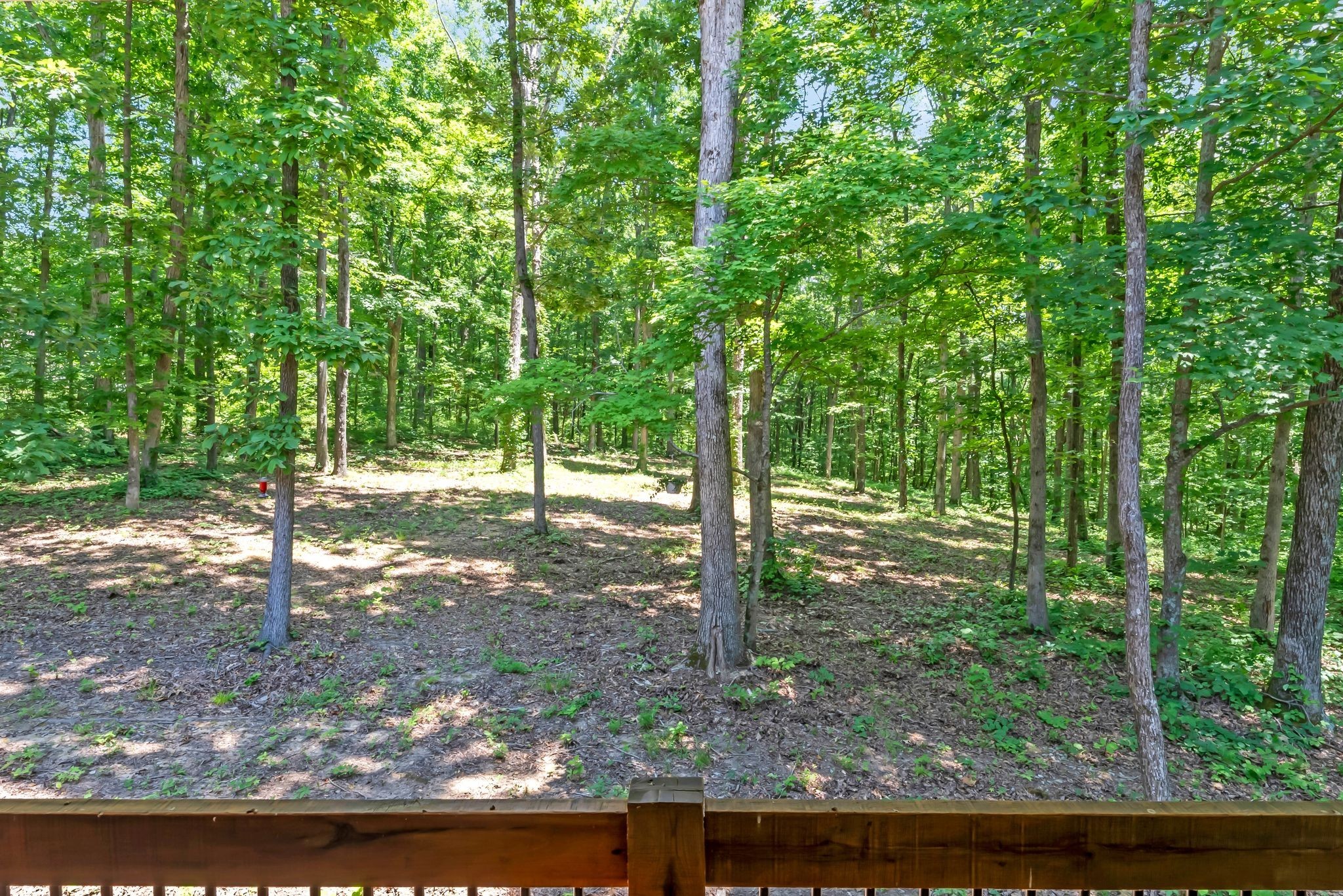 7890 Oscar Green Road Primm Springs, TN 38476 - Photo 47 of 52 a view of outdoor space and trees