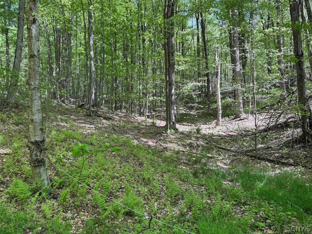 774 Bent Dipper Road Genesee, NY 14721 - Photo 43 of 46