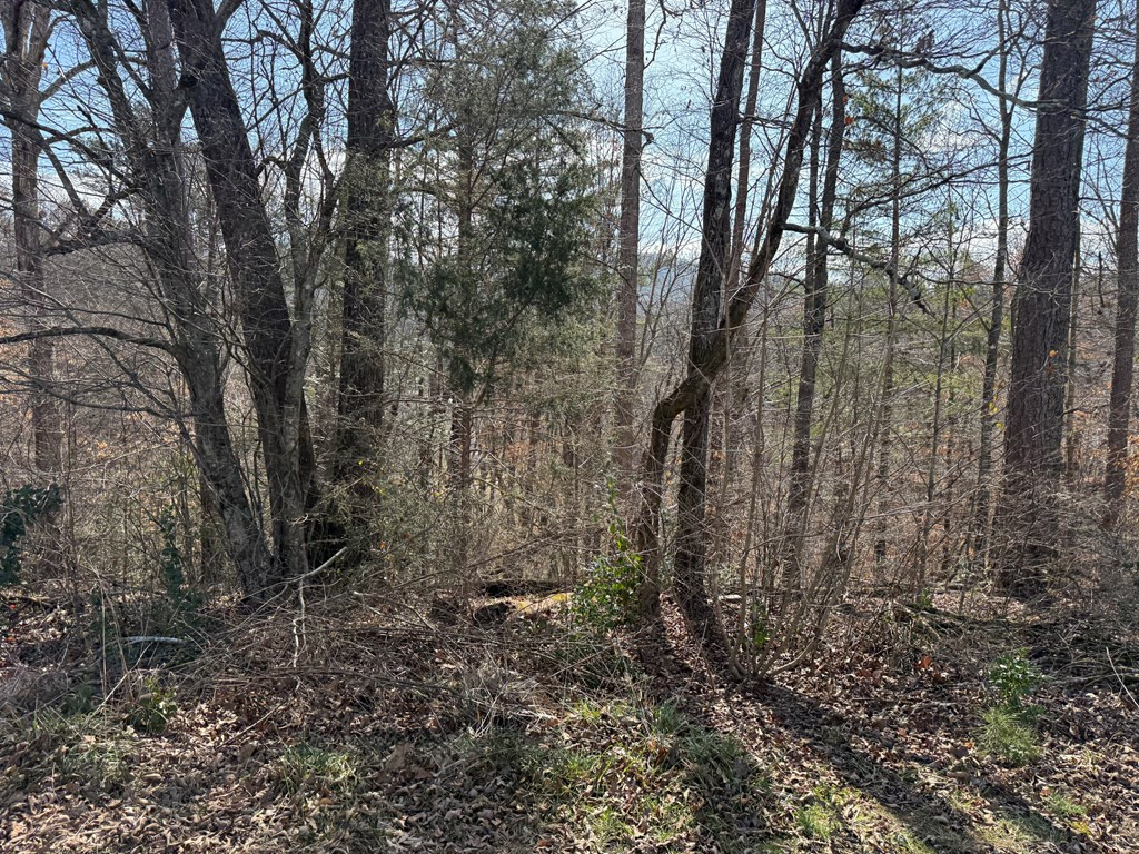 0 Sunrise Street Murphy, NC 28906 - Photo 3 of 5