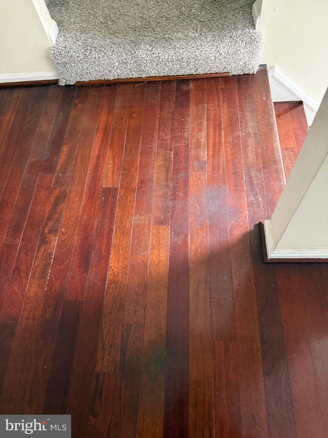 11348 Baroque Road Silver Spring, MD 20901 - Photo 19 of 47