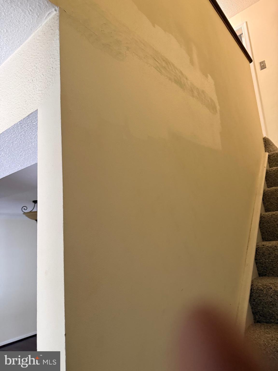 11348 Baroque Road Silver Spring, MD 20901 - Photo 20 of 47