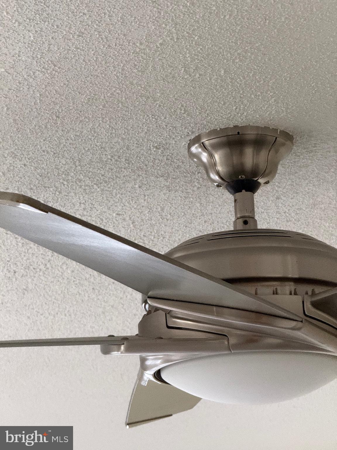 11348 Baroque Road Silver Spring, MD 20901 - Photo 21 of 47