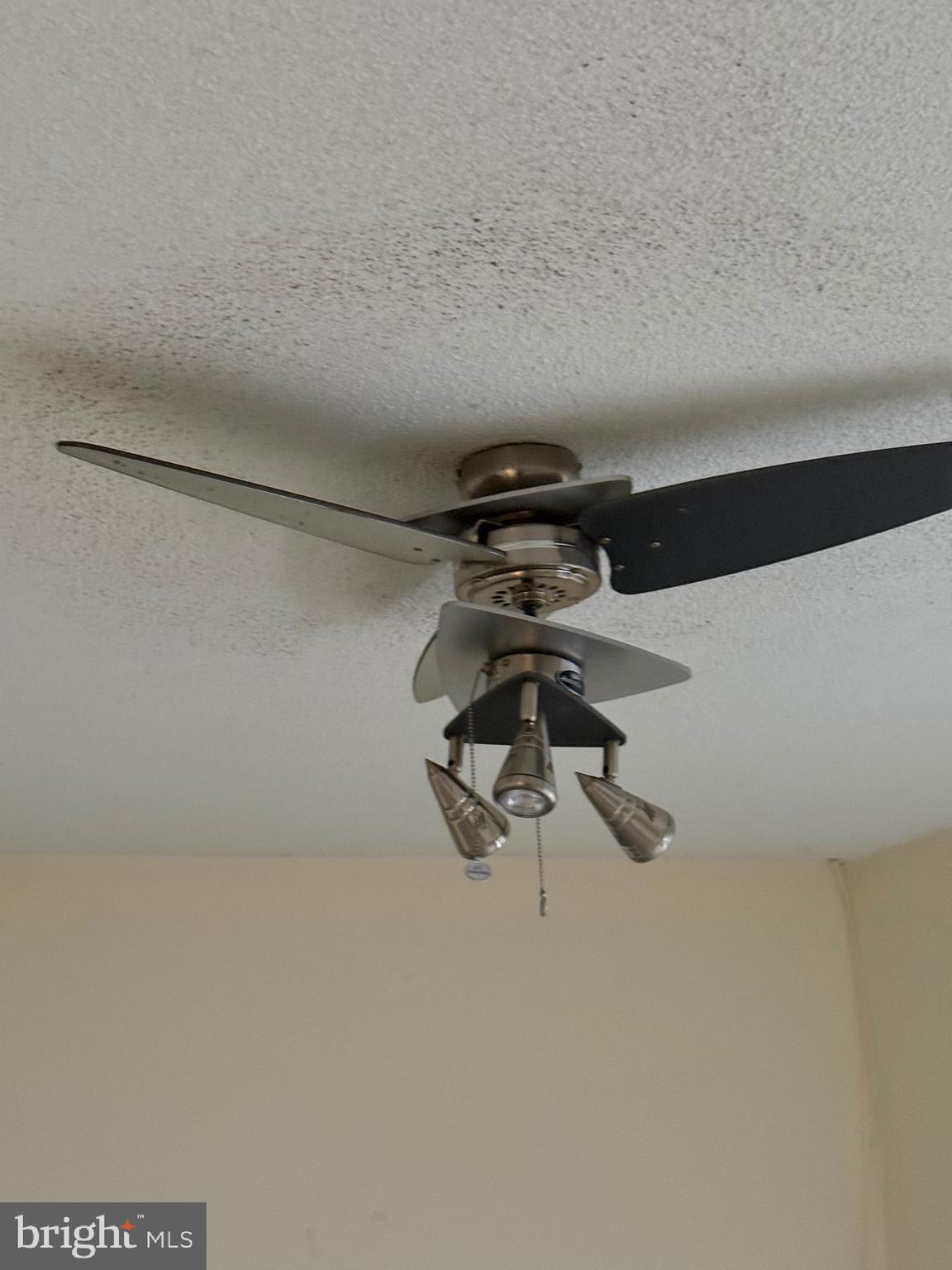 11348 Baroque Road Silver Spring, MD 20901 - Photo 22 of 47