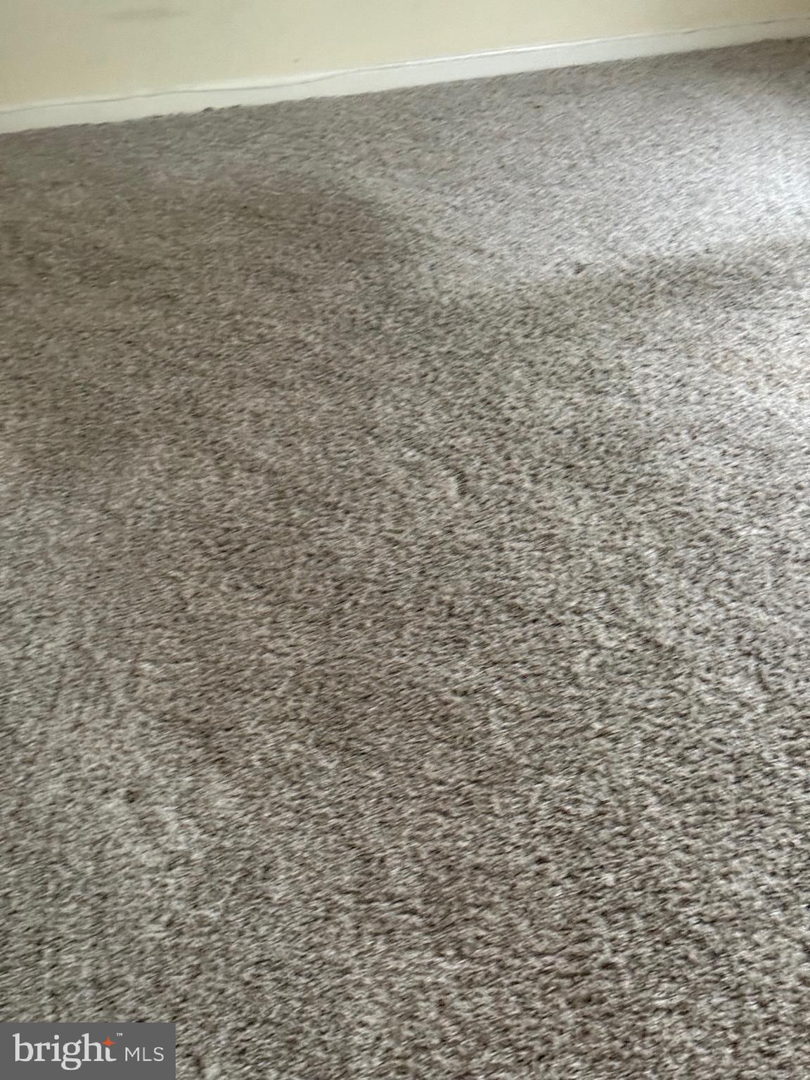 11348 Baroque Road Silver Spring, MD 20901 - Photo 33 of 47