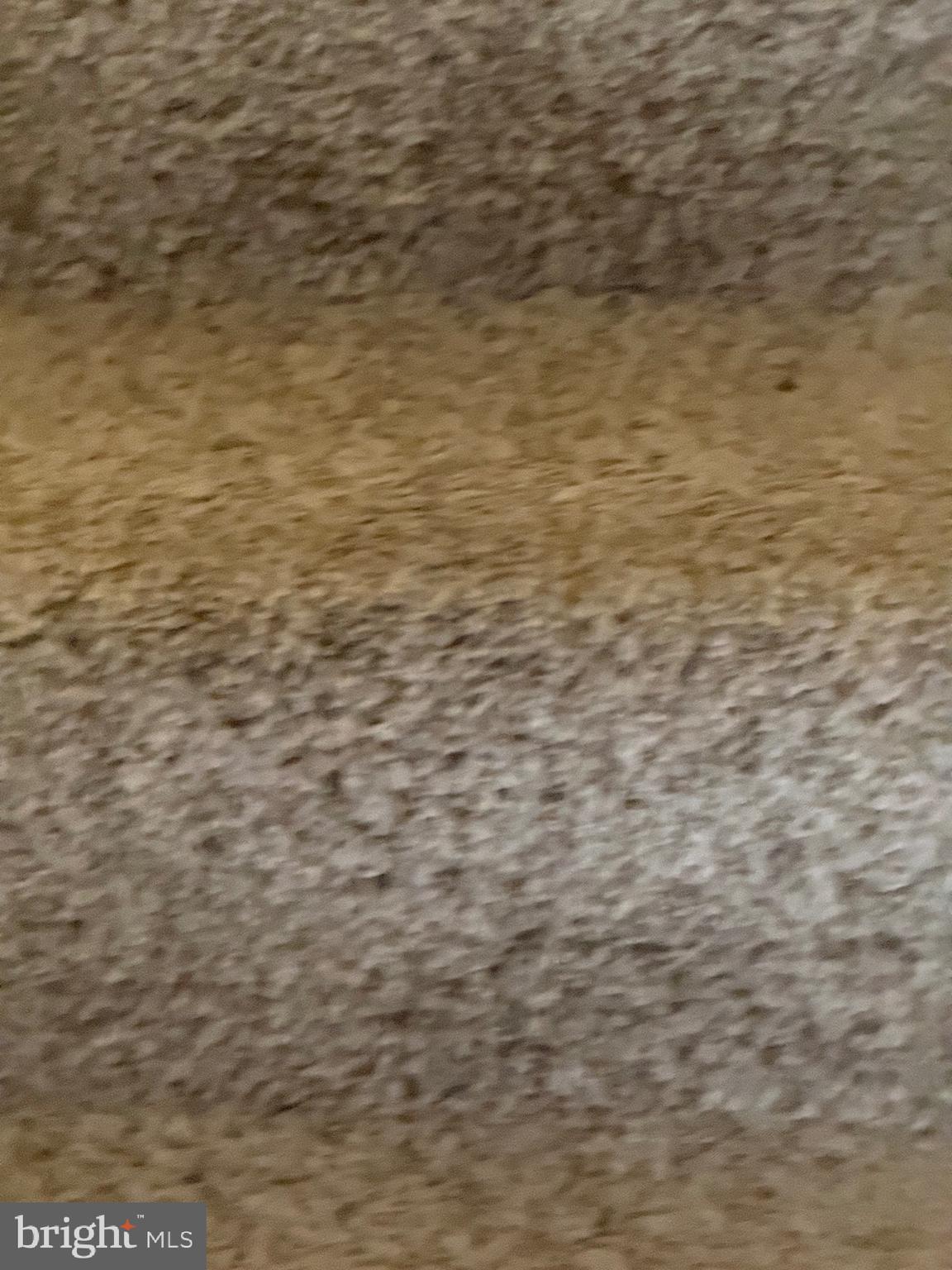 11348 Baroque Road Silver Spring, MD 20901 - Photo 35 of 47