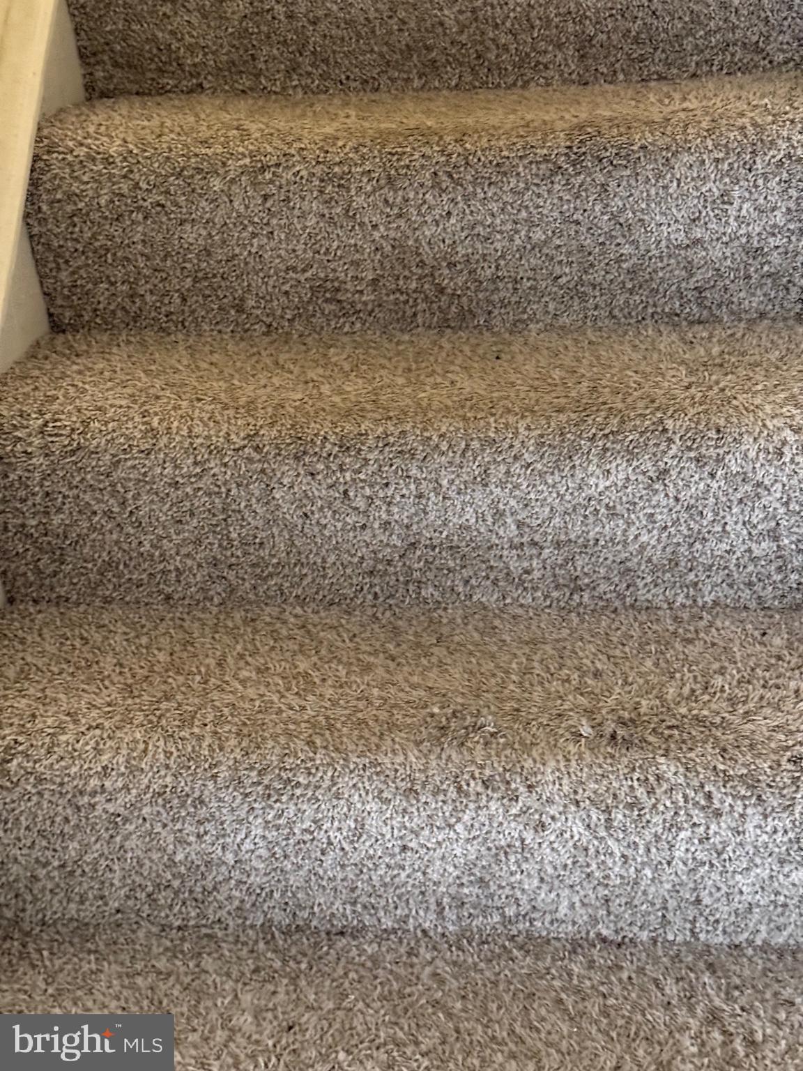 11348 Baroque Road Silver Spring, MD 20901 - Photo 36 of 47