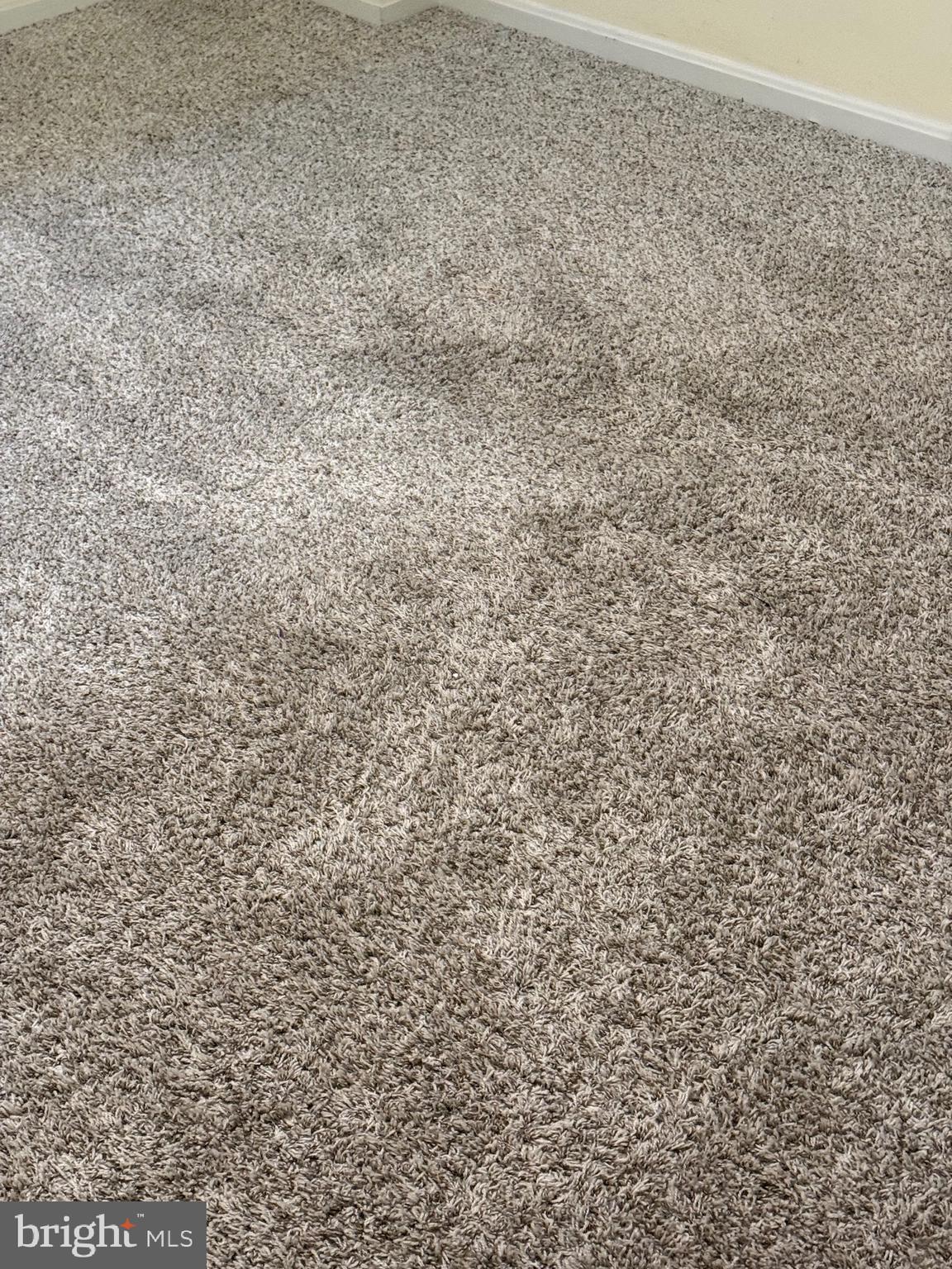 11348 Baroque Road Silver Spring, MD 20901 - Photo 37 of 47