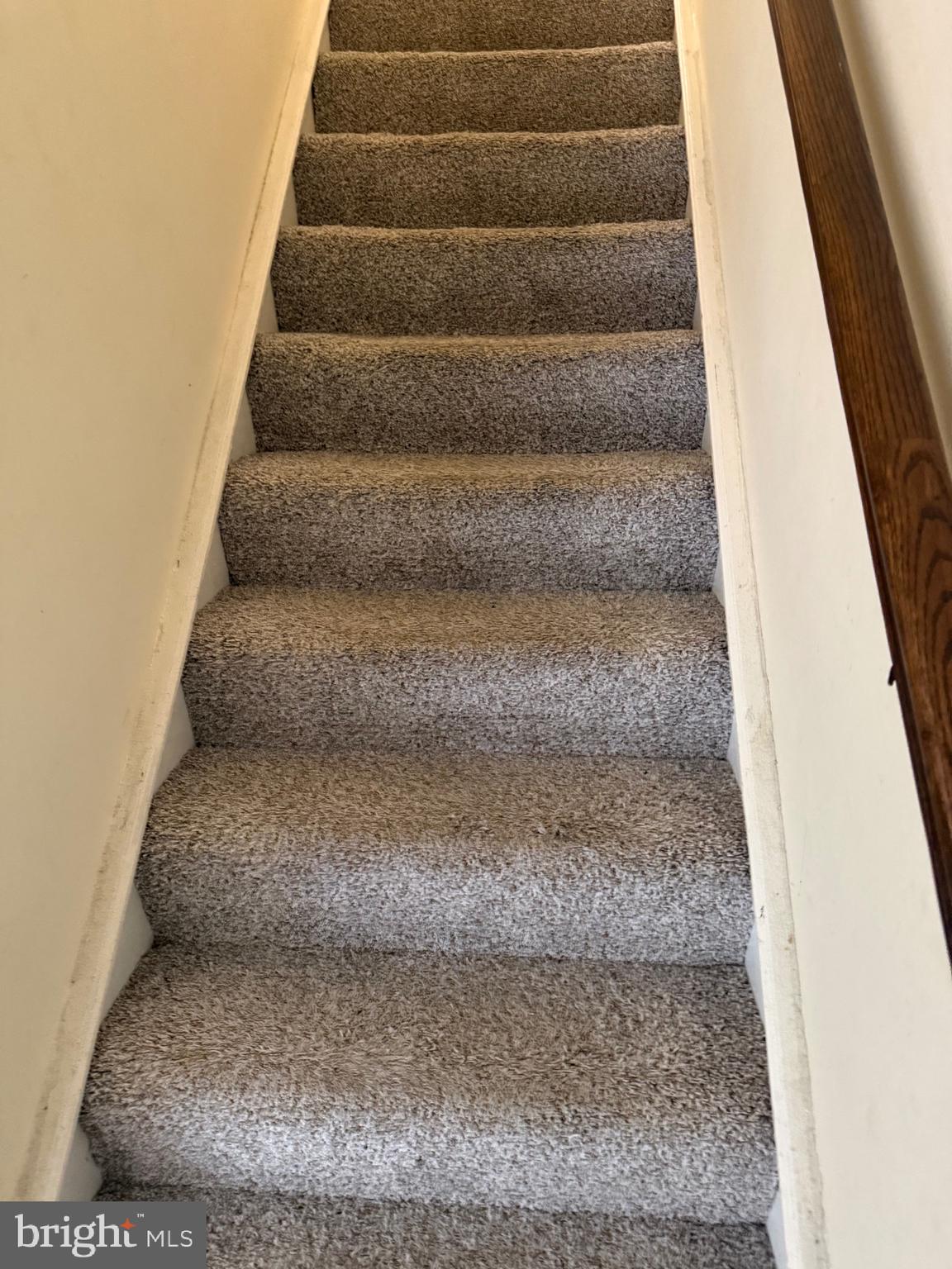 11348 Baroque Road Silver Spring, MD 20901 - Photo 39 of 47