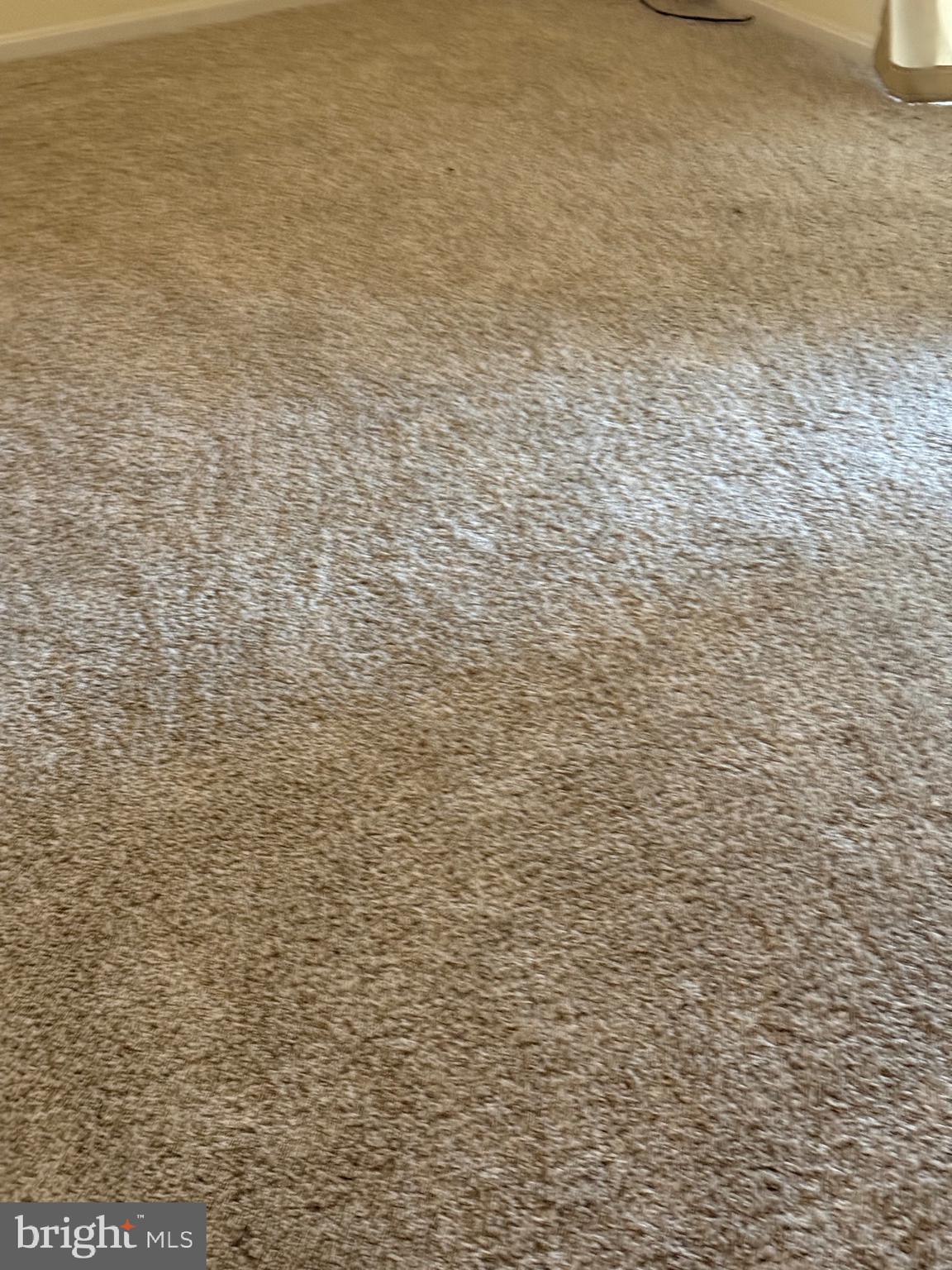 11348 Baroque Road Silver Spring, MD 20901 - Photo 41 of 47