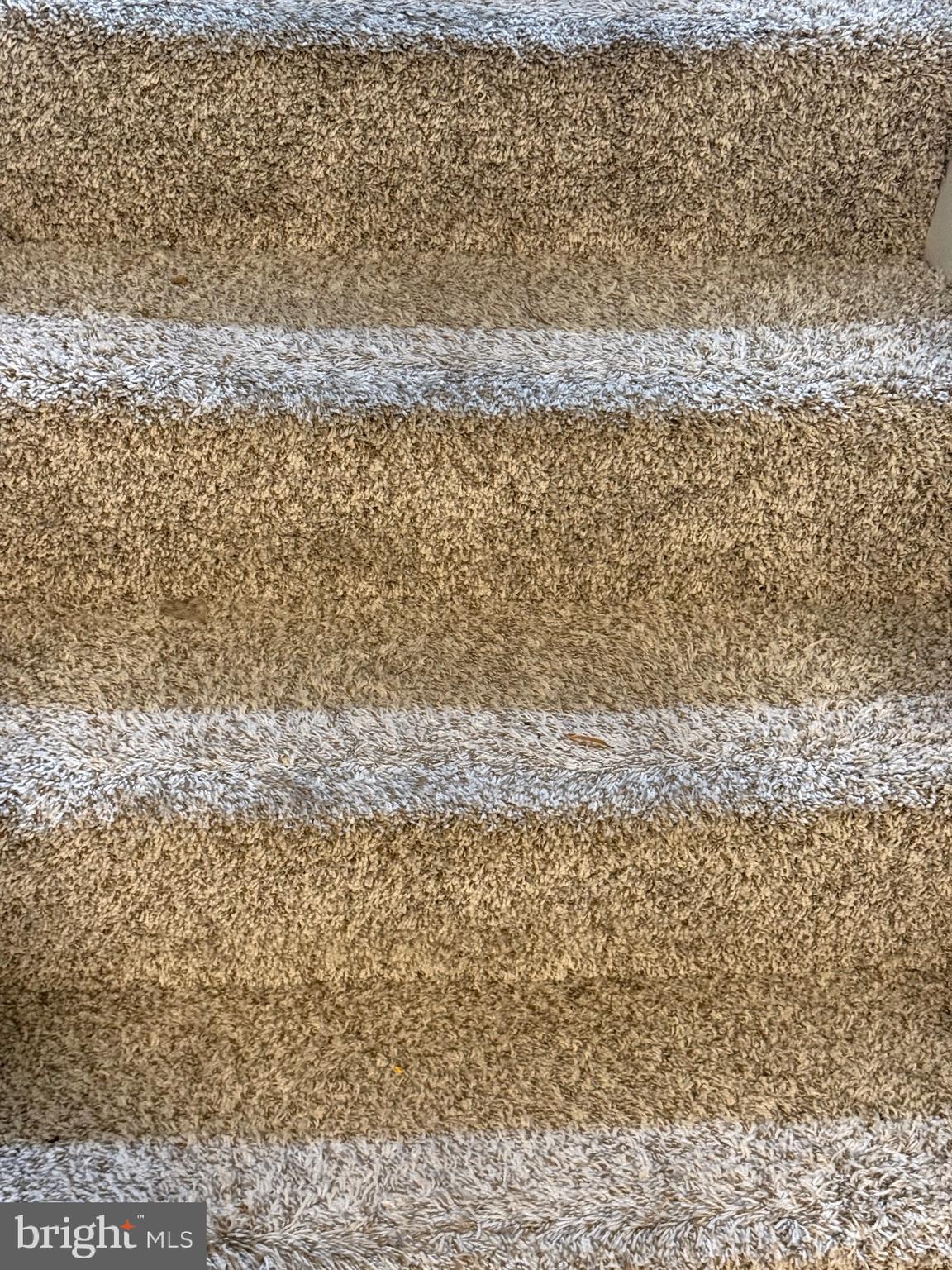 11348 Baroque Road Silver Spring, MD 20901 - Photo 43 of 47