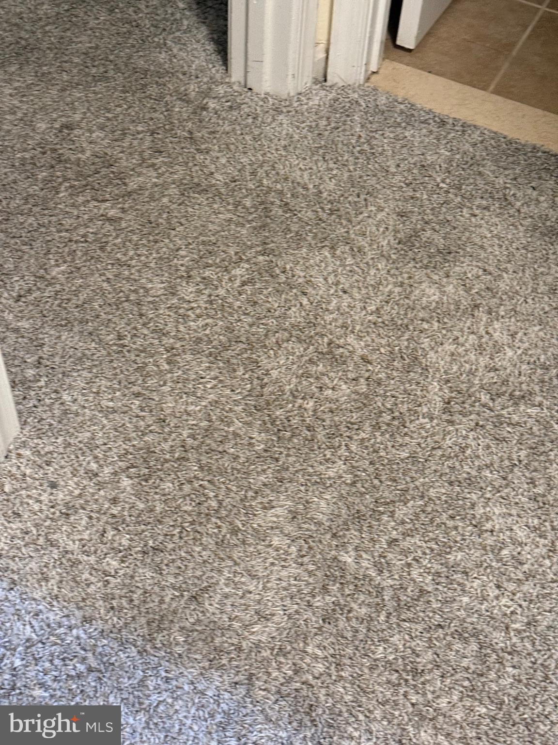 11348 Baroque Road Silver Spring, MD 20901 - Photo 45 of 47