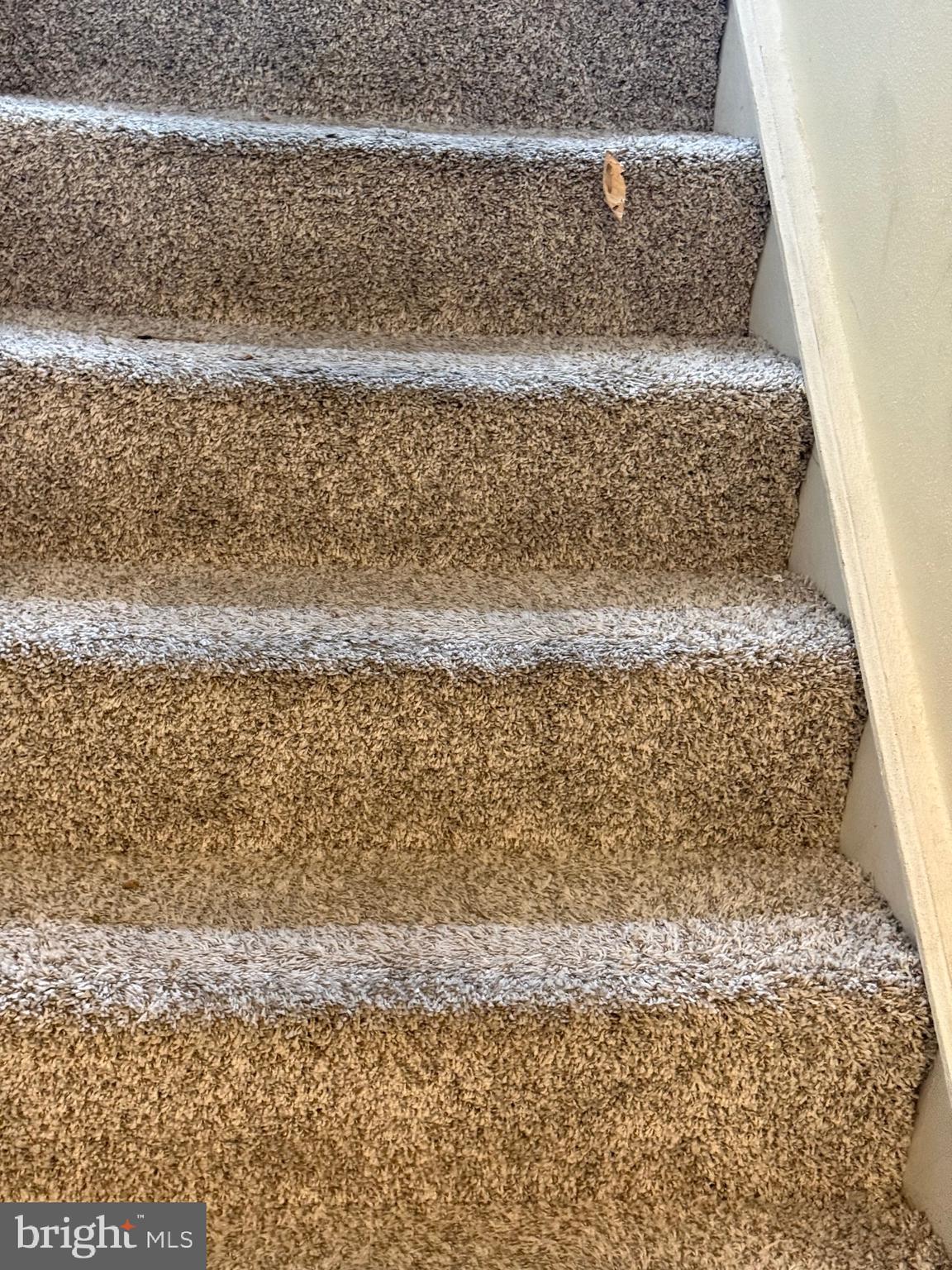 11348 Baroque Road Silver Spring, MD 20901 - Photo 46 of 47