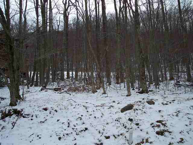 23 Brookside Road Davis, WV 26260 - Photo 2 of 20 Gallery Image 2