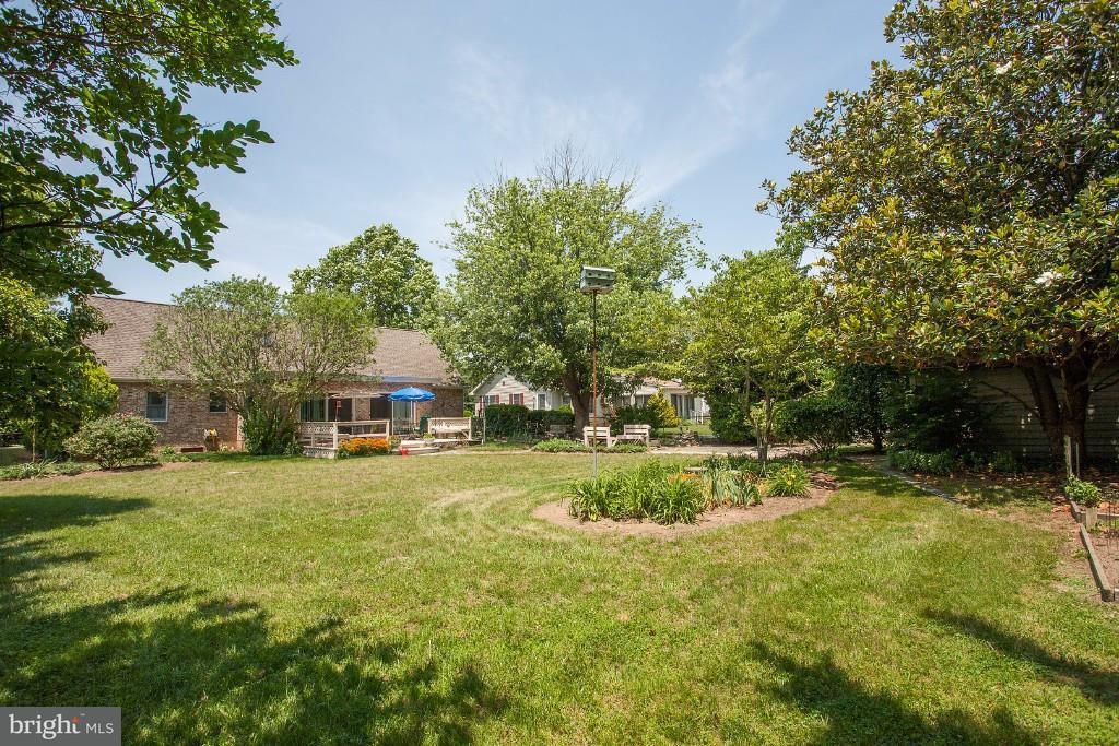 21 Harborview Road Lewes, DE 19958 - Photo 17 of 28 Gallery Image 17