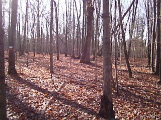 0 Cedar Point Road Rice, VA 23966 - Photo 1 of 3 Gallery Image 1