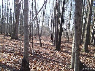 0 Cedar Point Road Rice, VA 23966 - Photo 2 of 3 Gallery Image 2