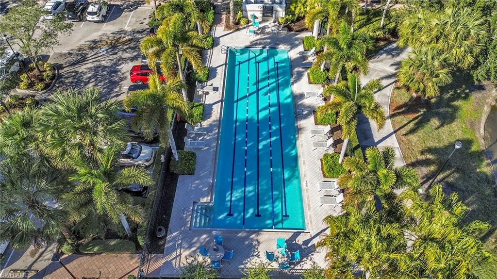 3000 Ellice Way Naples, FL 34119 - Photo 44 of 49 Lap Pool