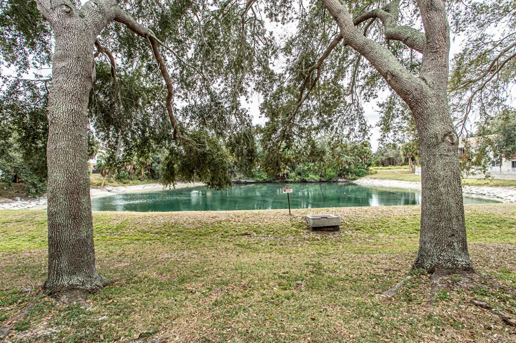 6740 Moonglow Drive, Unit 101 Port Richey, FL 34668 - Photo 30 of 39 a view of a lake with a yard and large trees
