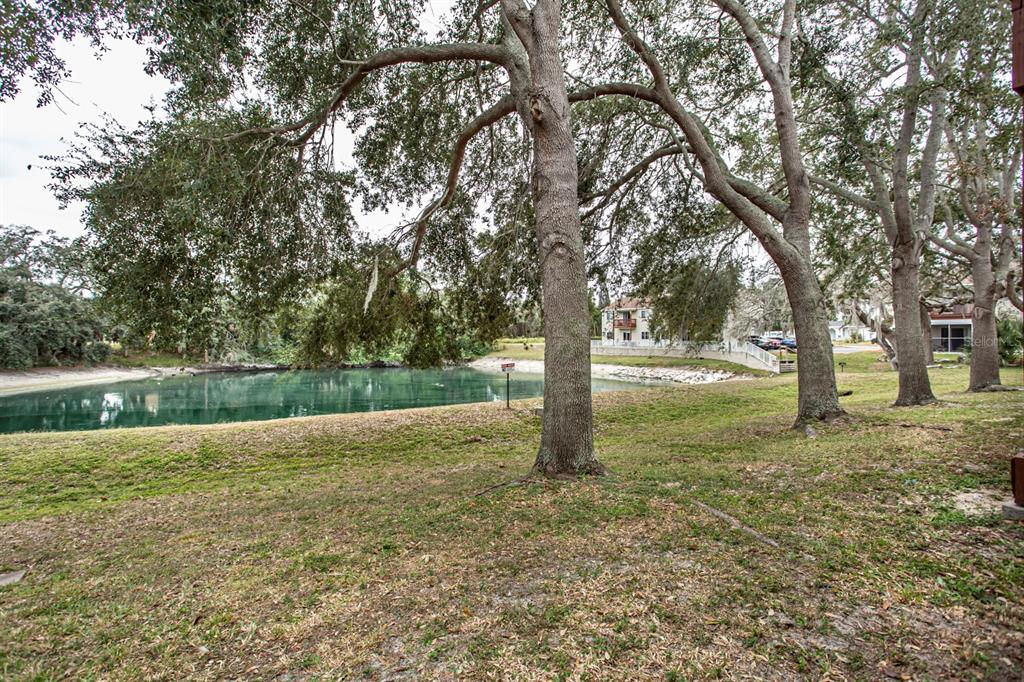 6740 Moonglow Drive, Unit 101 Port Richey, FL 34668 - Photo 31 of 39 a view of a trees with a yard