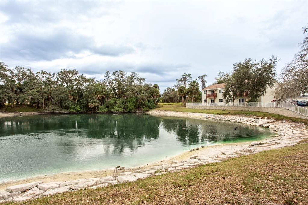 6740 Moonglow Drive, Unit 101 Port Richey, FL 34668 - Photo 37 of 39 a view of a lake view