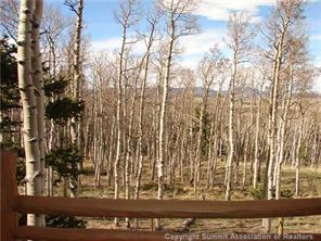 199 Sheep Ridge Road Fairplay, CO 80440 - Photo 15 of 16 a view of a wooden door