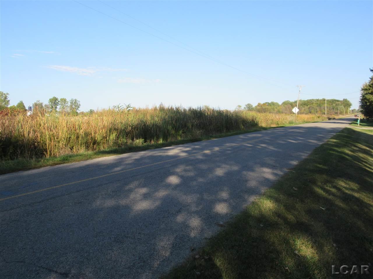 8867 Milwaukee Road Britton, MI 49229 - Photo 3 of 39 Paved Milwaukee near Ridg