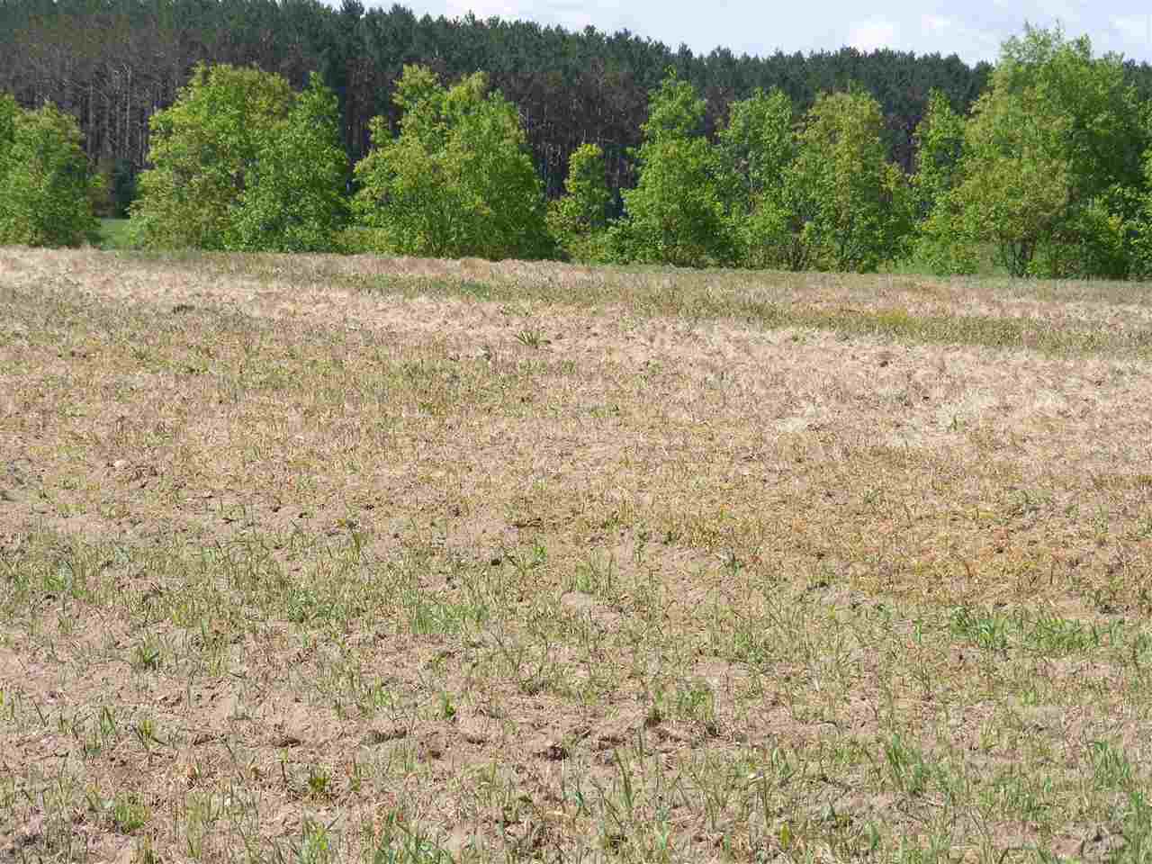 4123 South 23 Road Boon, MI 49618 - Photo 47 of 58 1862429-46.JPG
