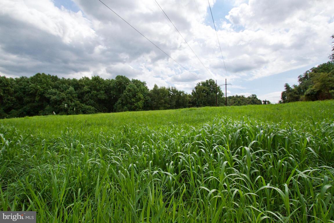 26 Observation Site Road, Unit REAR Conestoga, PA 17516 - Photo 13 of 18