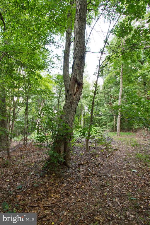 26 Observation Site Road, Unit REAR Conestoga, PA 17516 - Photo 16 of 18