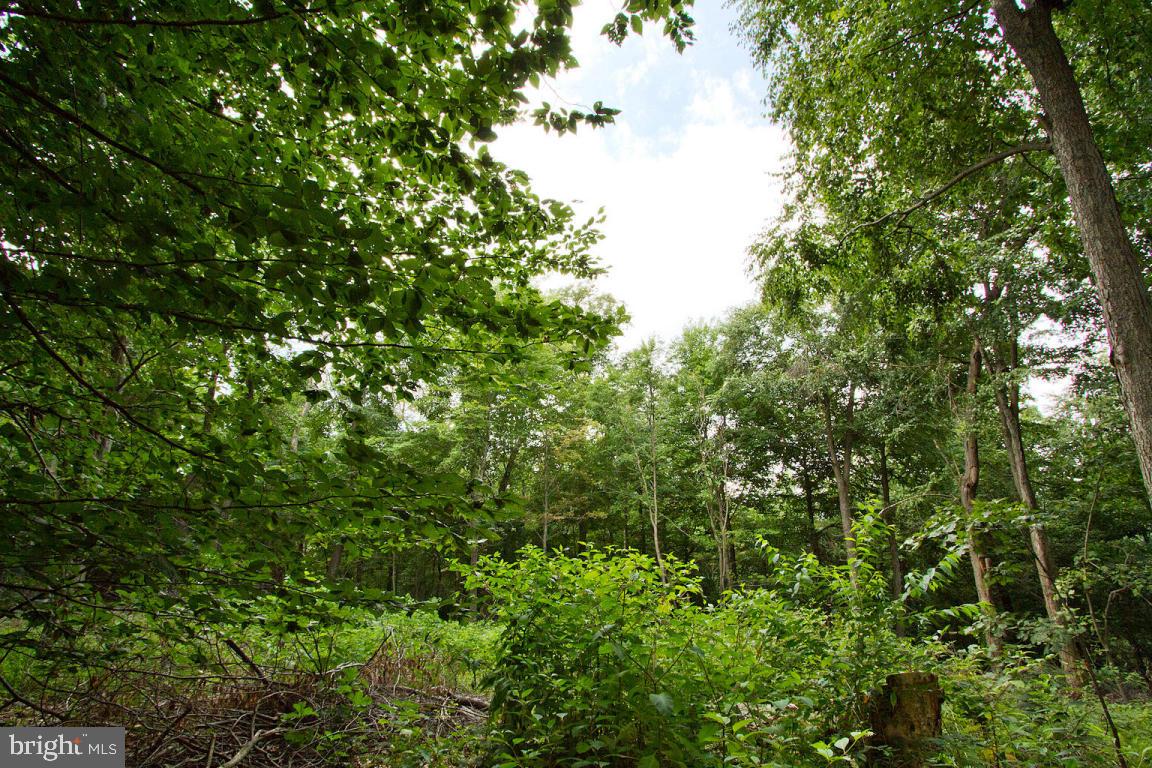 26 Observation Site Road, Unit REAR Conestoga, PA 17516 - Photo 18 of 18