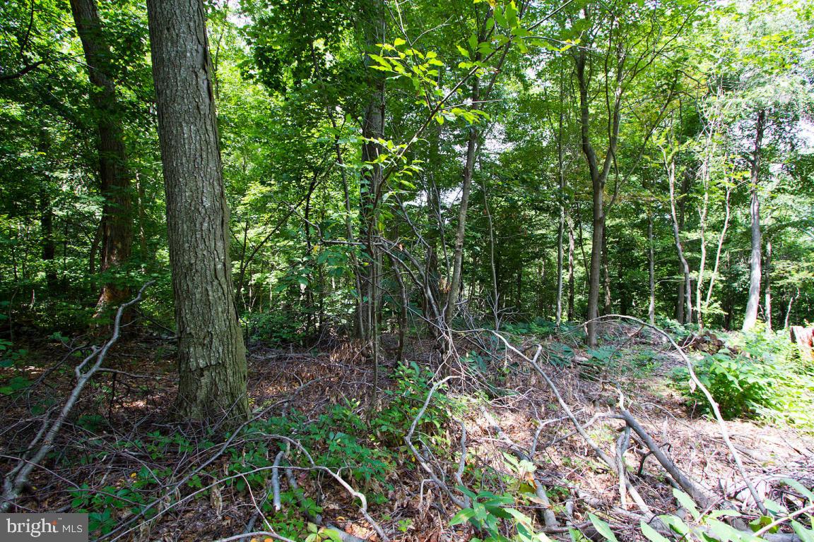 26 Observation Site Road, Unit REAR Conestoga, PA 17516 - Photo 5 of 18