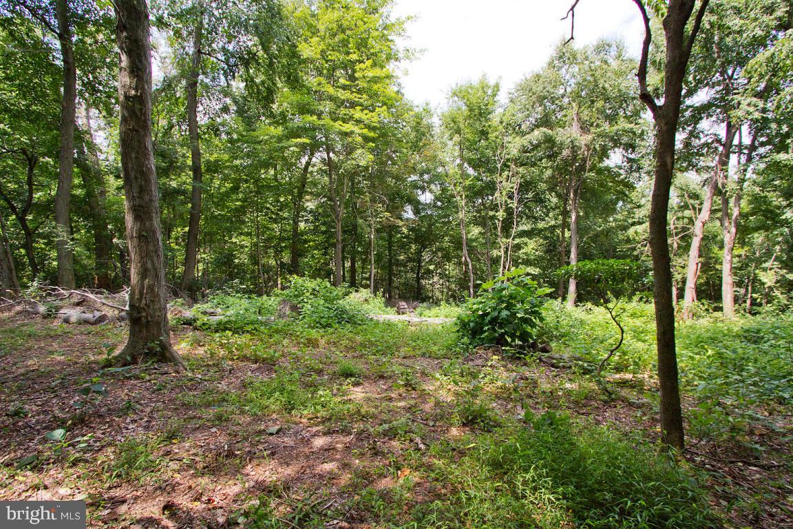 26 Observation Site Road, Unit REAR Conestoga, PA 17516 - Photo 6 of 18