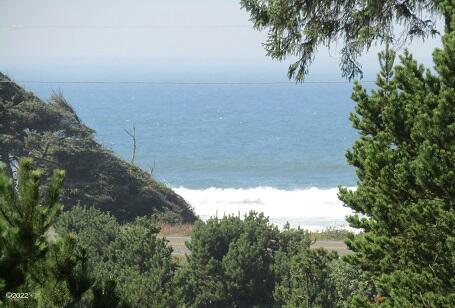 1240 Southwest Sailfish Loop Waldport, OR 97394 - Photo 29 of 29 Ocean view
