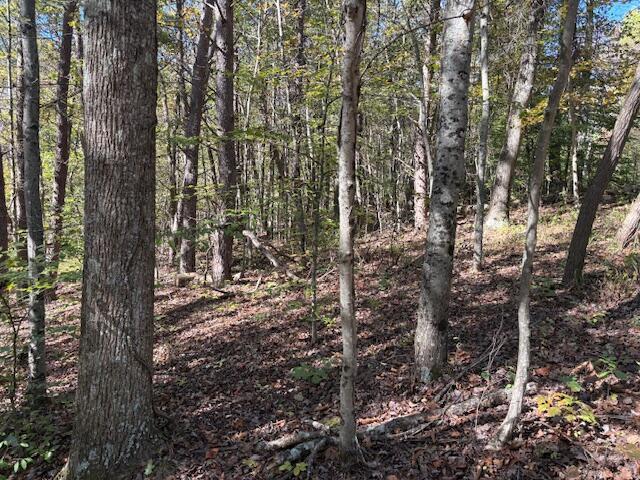 9847 Stage Road Logan, OH 43138 - Photo 2 of 10 IMG_3142