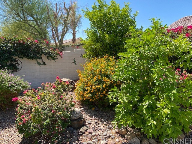 80278 Camino San Mateo Indio, CA 92203 - Photo 52 of 63 a view of a flower in a garden