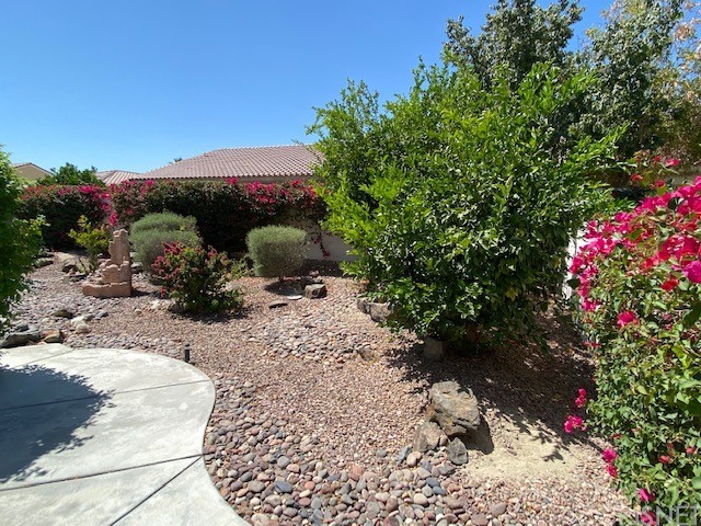 80278 Camino San Mateo Indio, CA 92203 - Photo 58 of 63 a view of a pathway with a yard