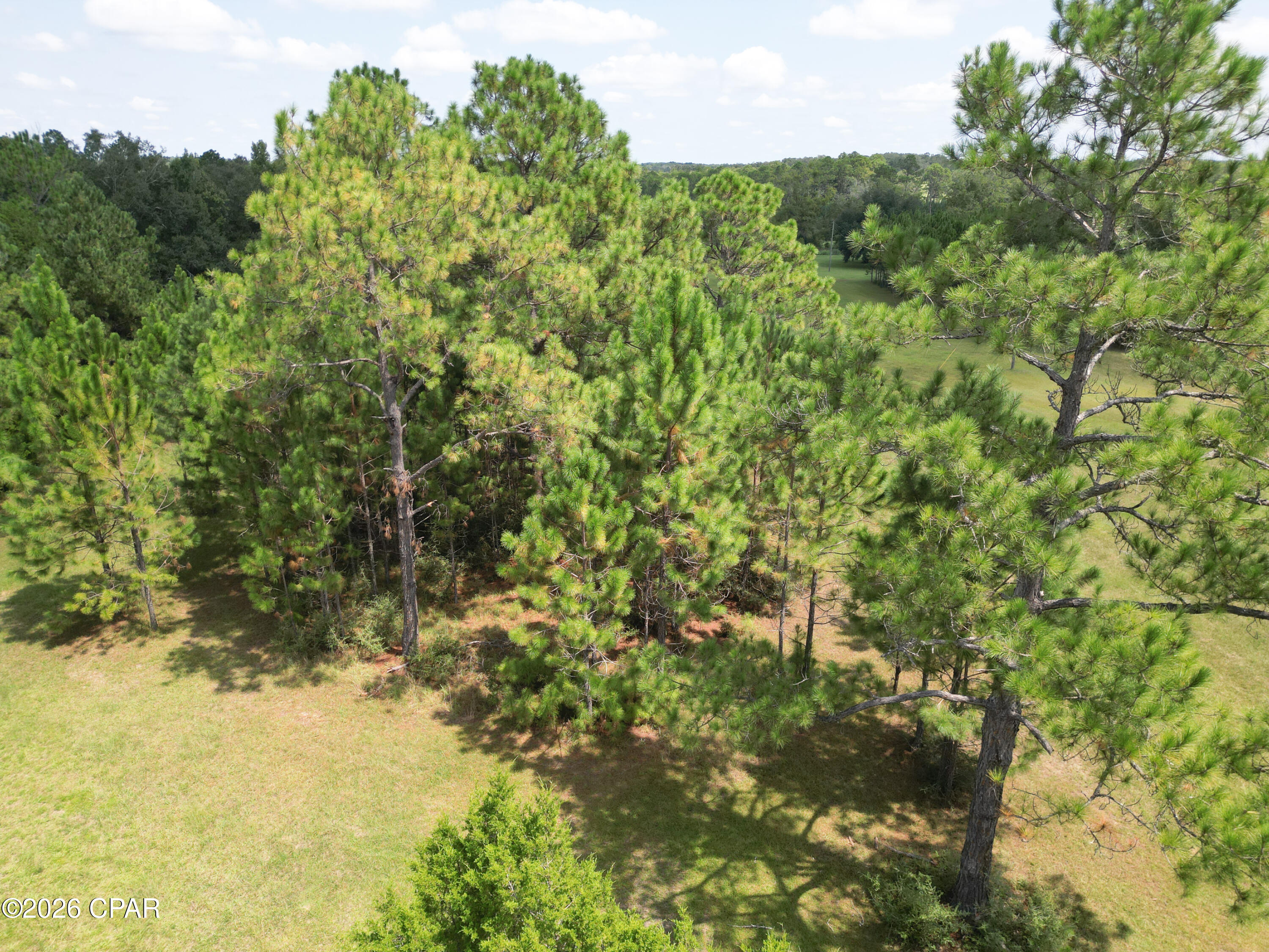 3813 Sand Path Road Bonifay, FL 32425 - Photo 7 of 28 Gallery Image 7