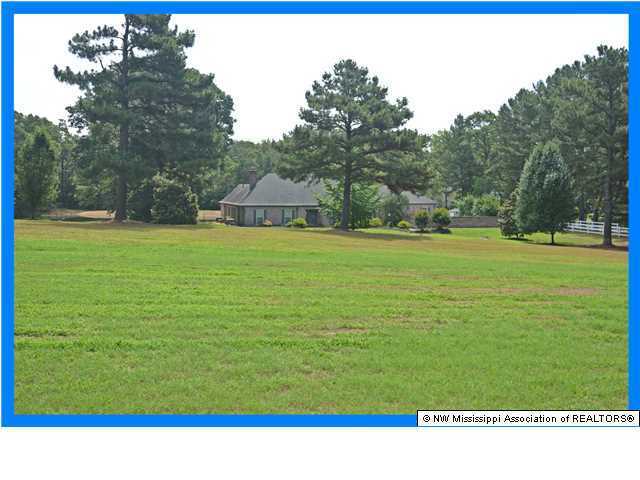 3860 McIngvale Road Hernando, MS 38632 - Photo 2 of 27 Additional Photo