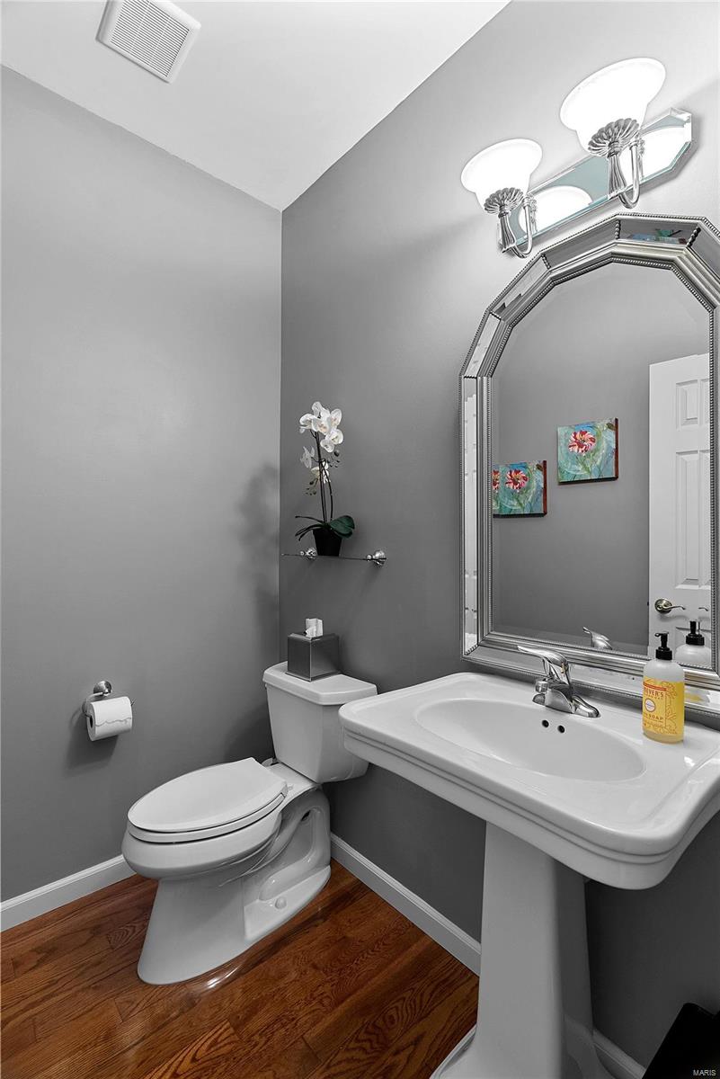 1538 Dietrich Chase Lane Ballwin, MO 63021 - Photo 21 of 24