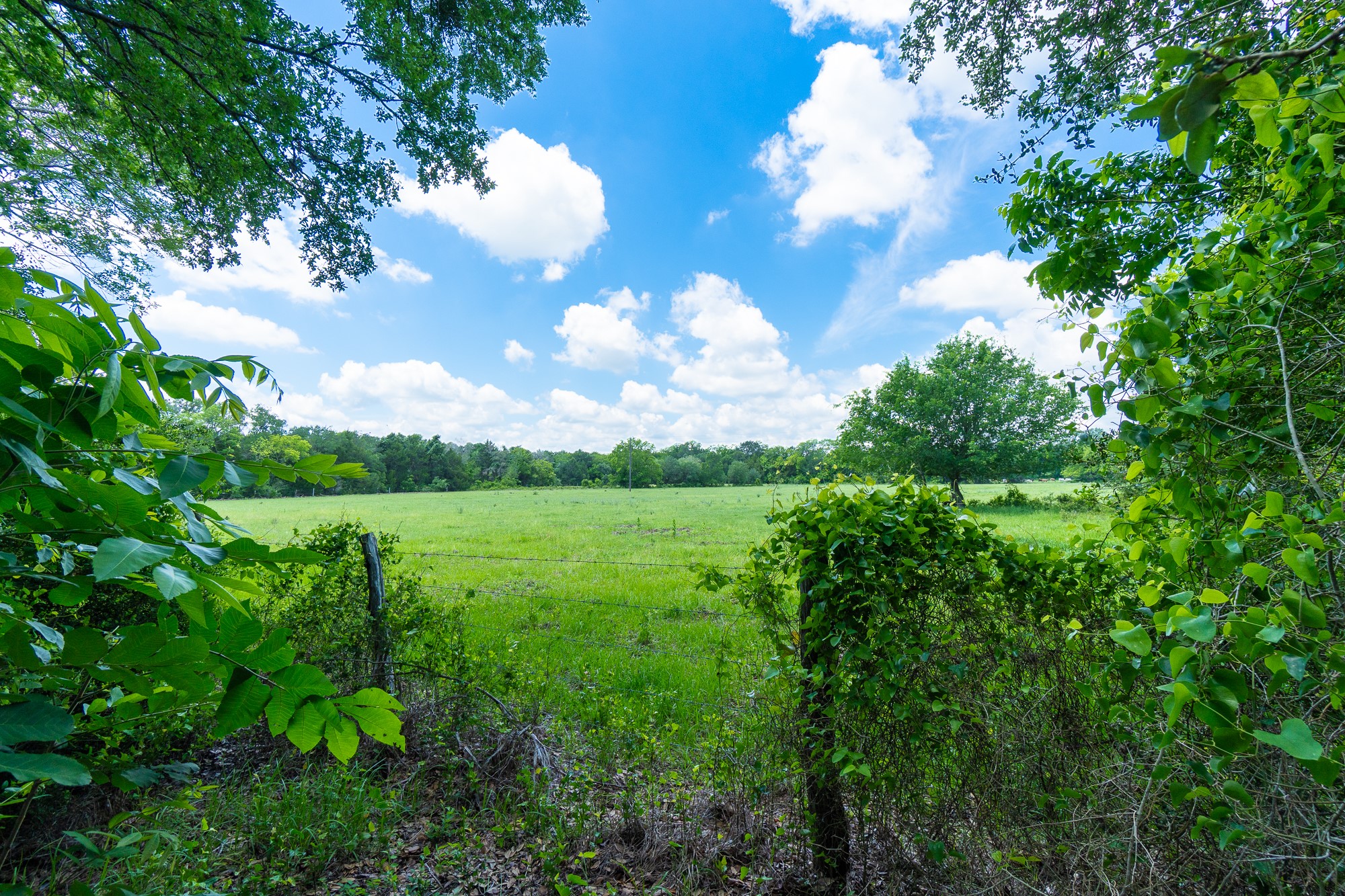 5018 Wolters Road Schulenburg, TX 78956 - Photo 31 of 39
