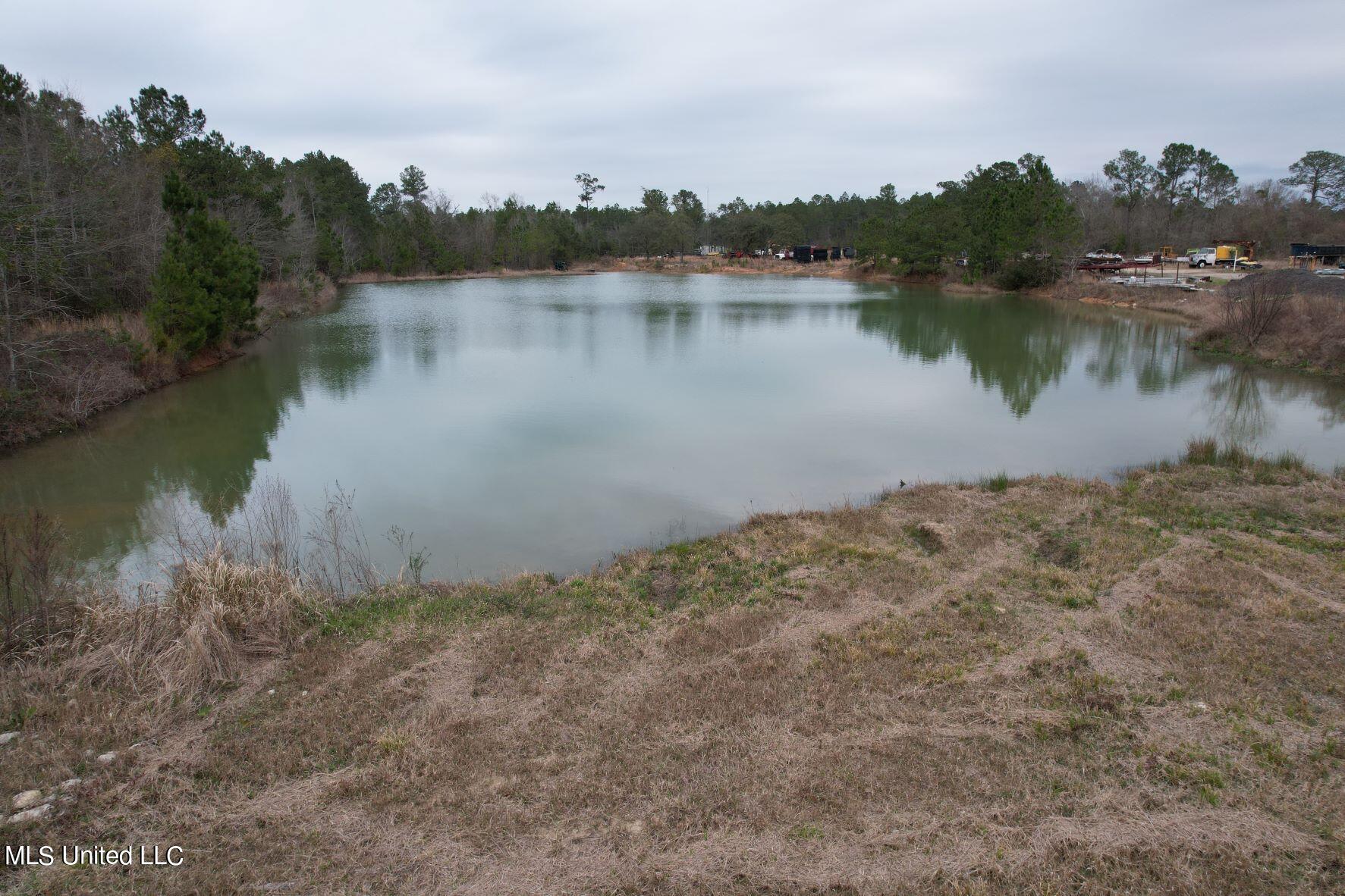 17132 Bobinger Road Kiln, MS 39556 - Photo 18 of 22 View of Pond from Ground Level