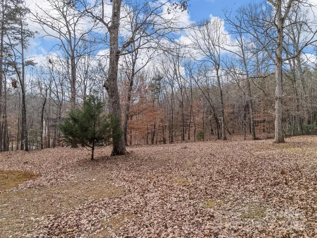 a view of a tree in the middle of a yard