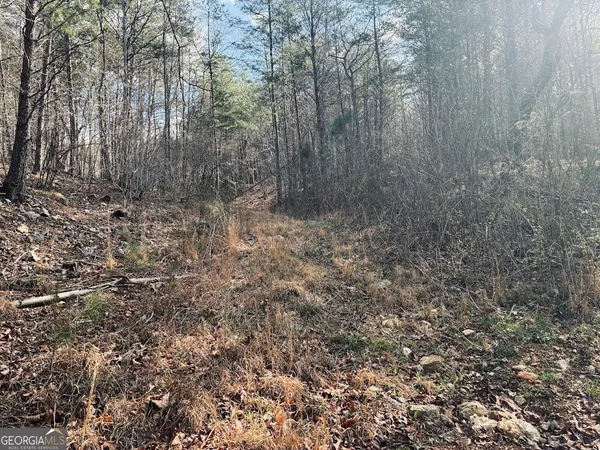 $499,900 | 0 County Road 709, Valley Head, AL 35989